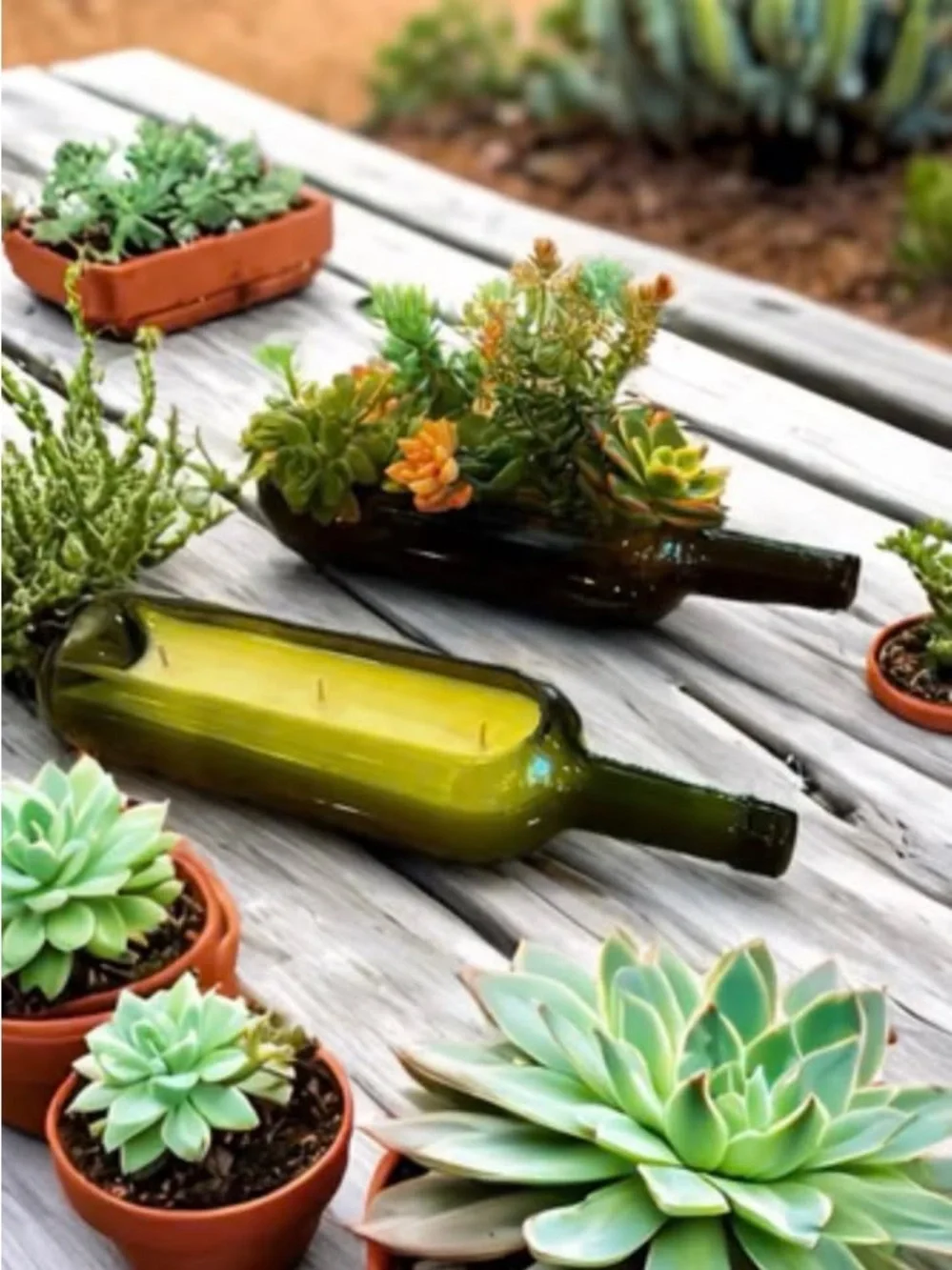 N/A wine bottle